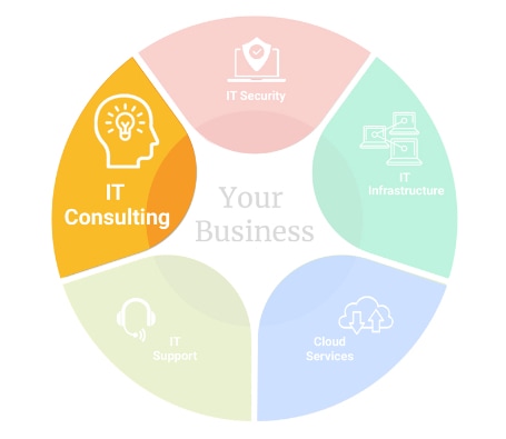 img-pie-chart-IT-Consulting